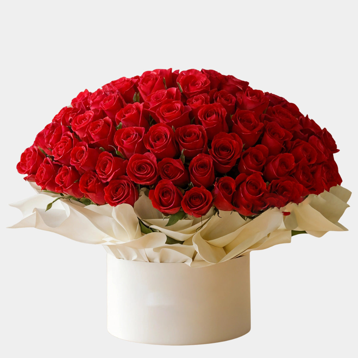 Royal Red Roses in a Flower Box