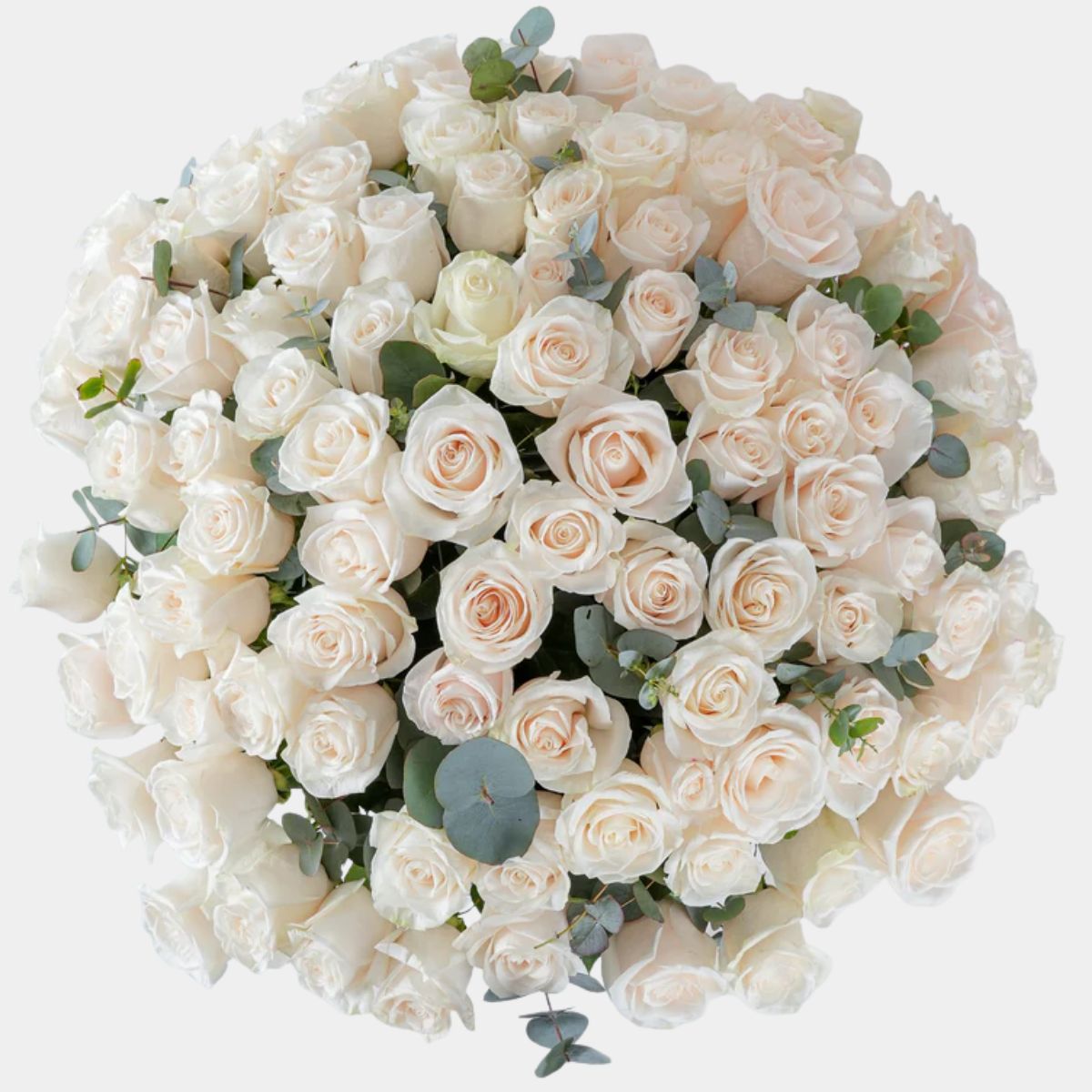 مزهرية فاخرة تضم 100 وردة بيضاء