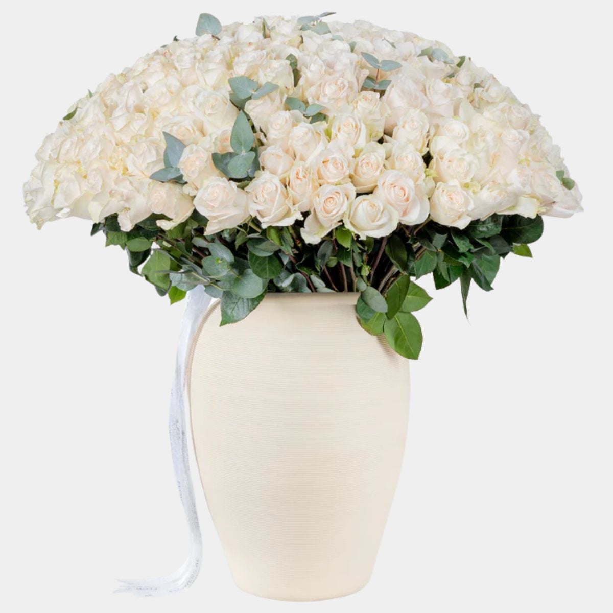 150 Luxury White Roses Vase