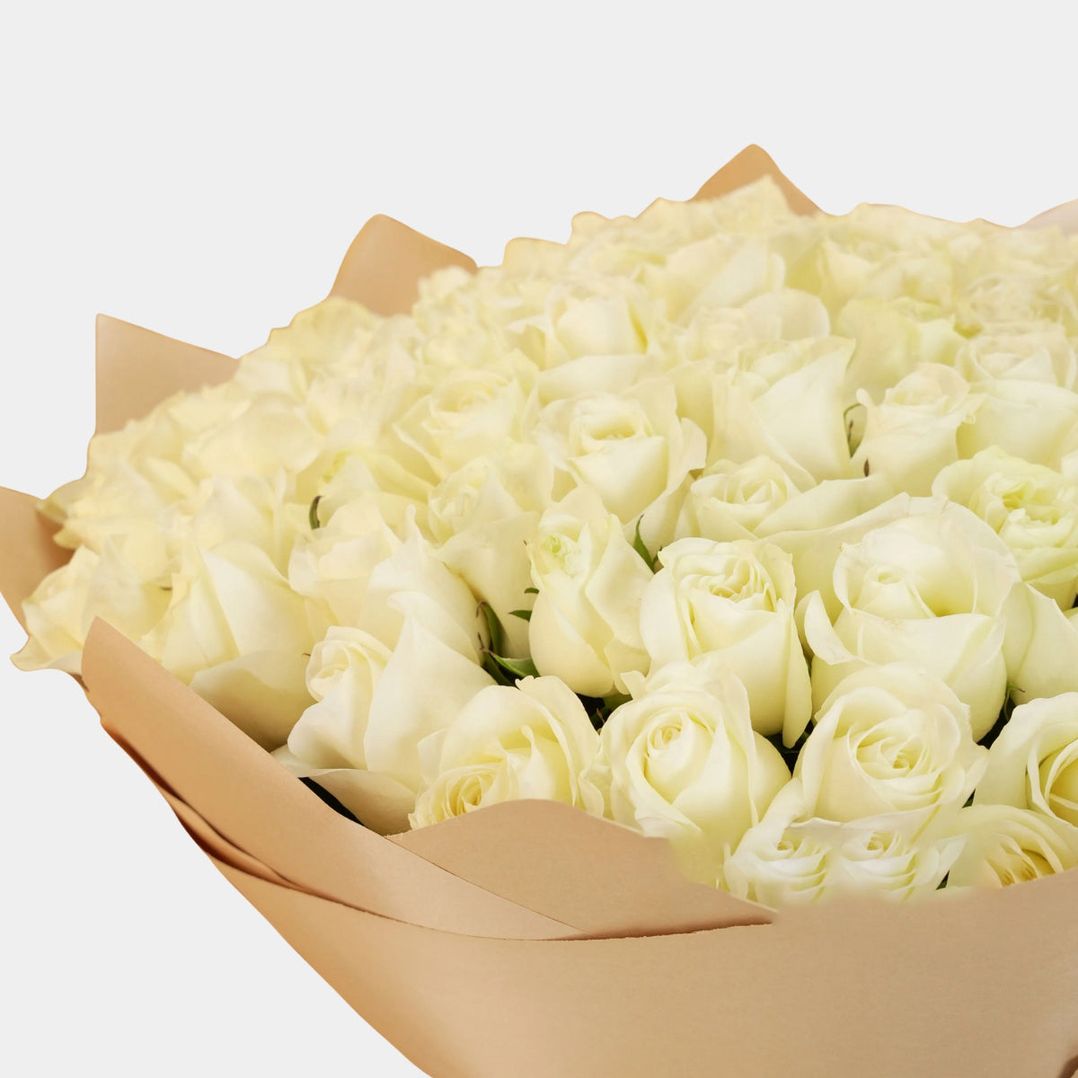 Bouquet of 100 White Roses