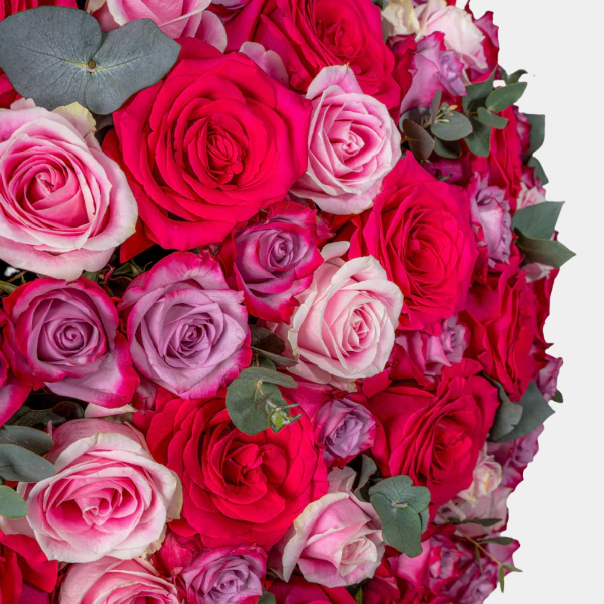 صندوق زهور 365 فيرست بلاش