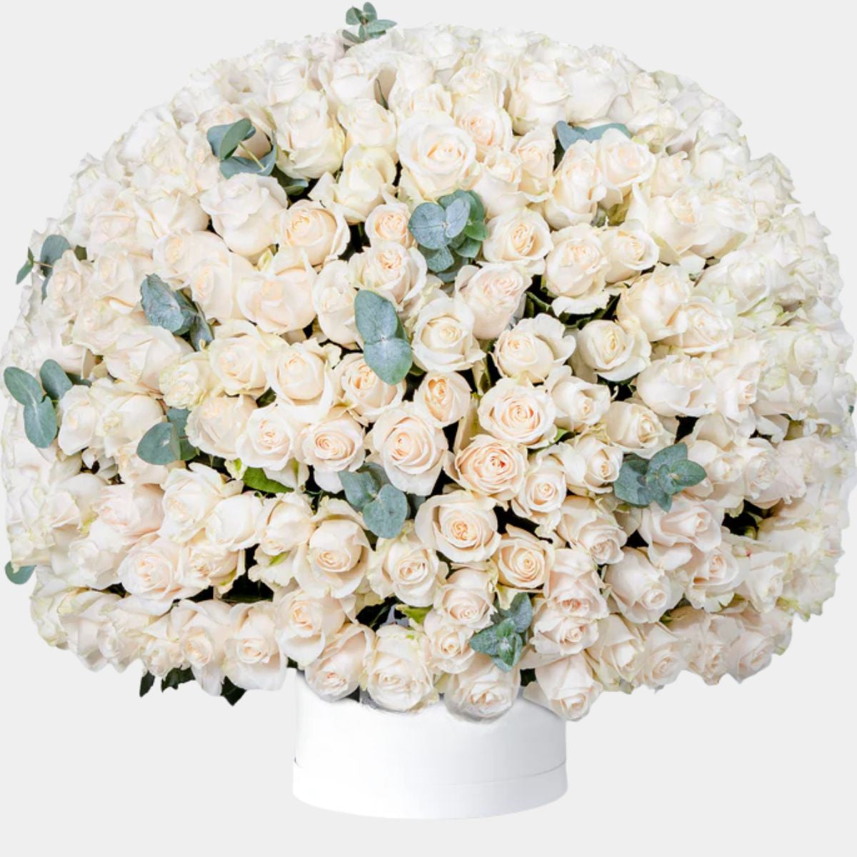صندوق زهور يحتوي على 365 وردة بيضاء