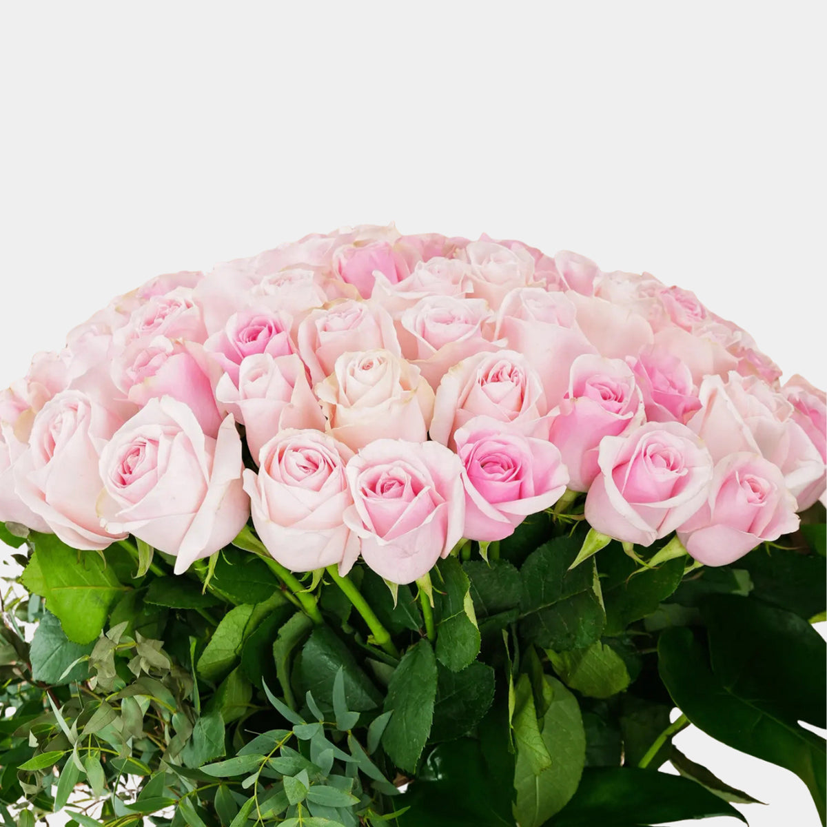 Pink Roses in a Vase Arrangement