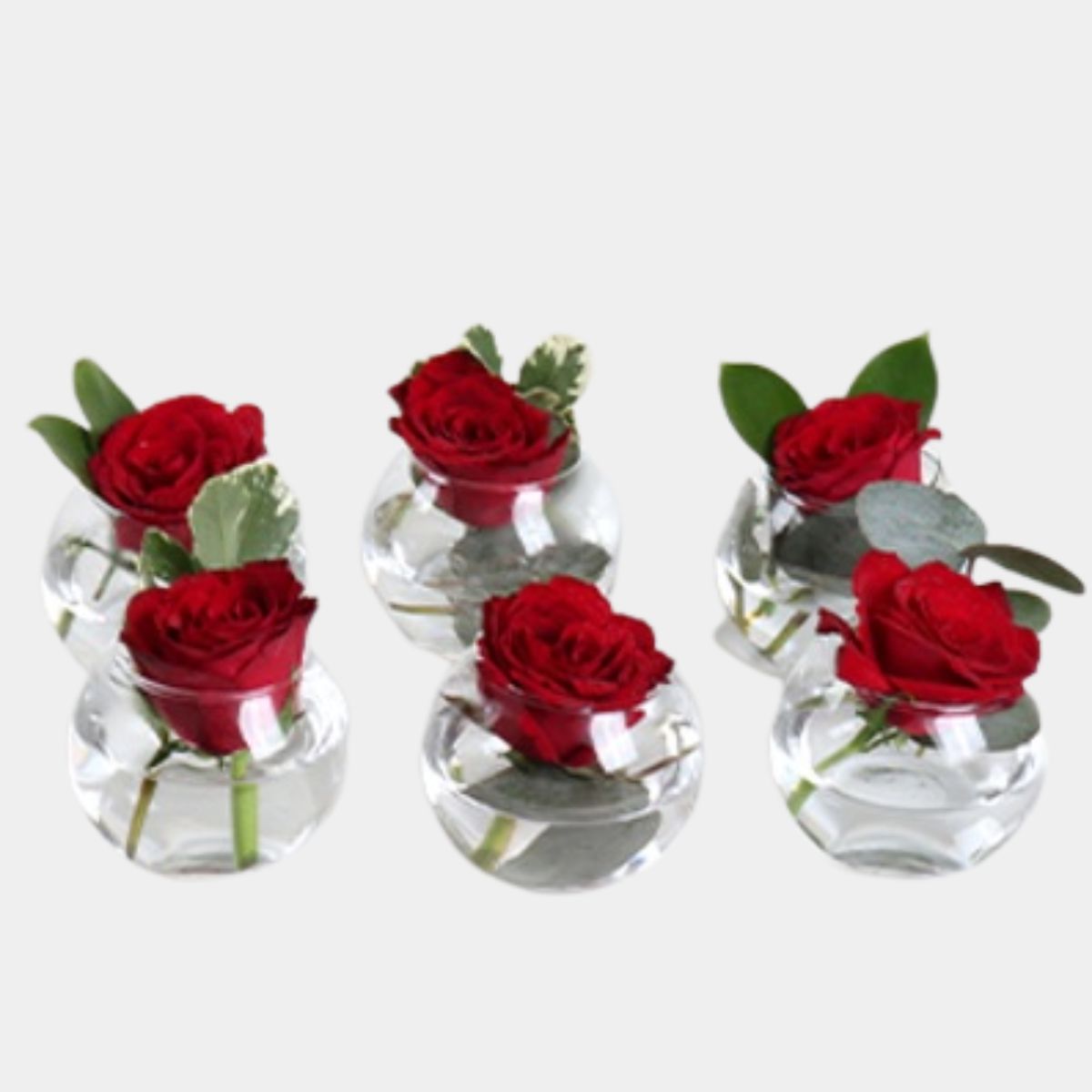 6 Single Roses Bowl Base with Greens