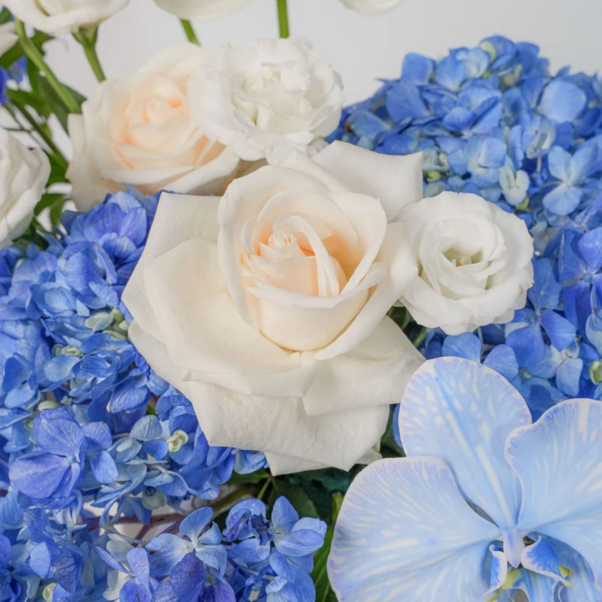Blue Perfection Flower Box
