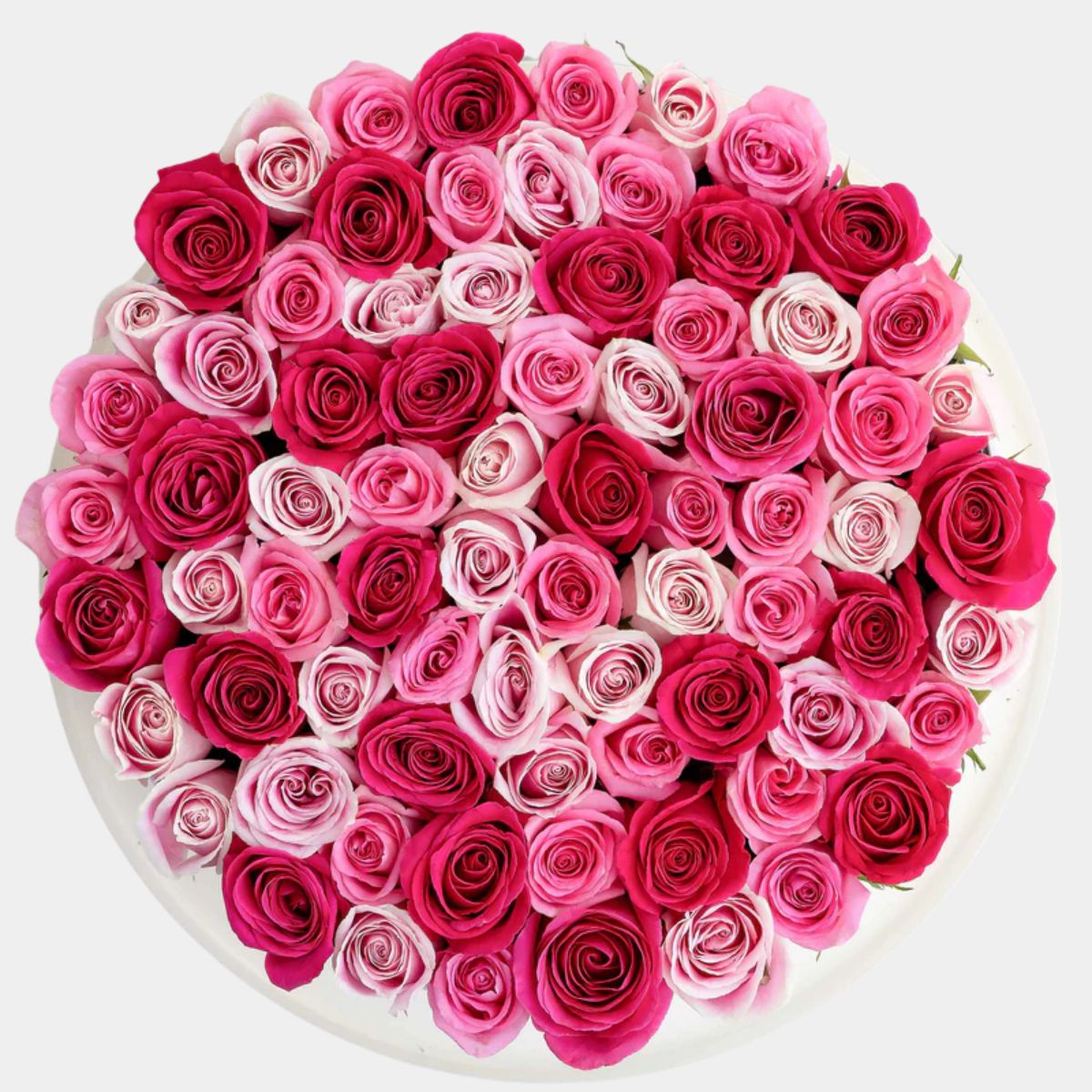 Blush Roses Flower Box