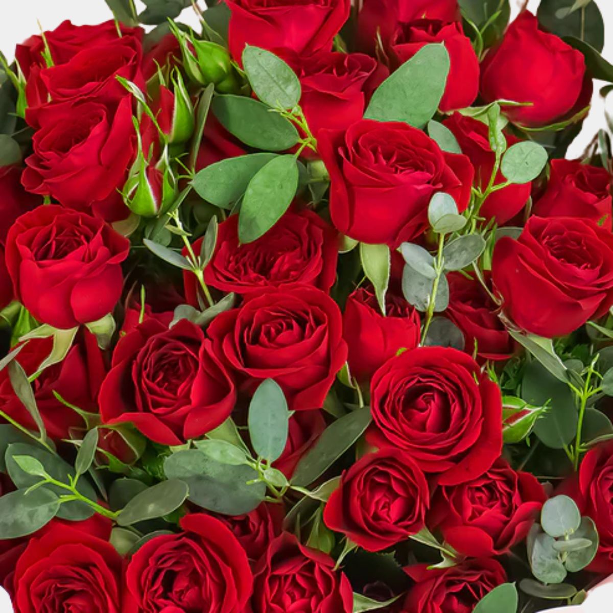 Crimson Romance Baby Red Roses Bouquet