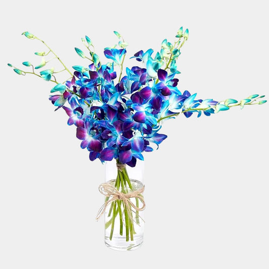 Enchanting Blue And Purple Orchids