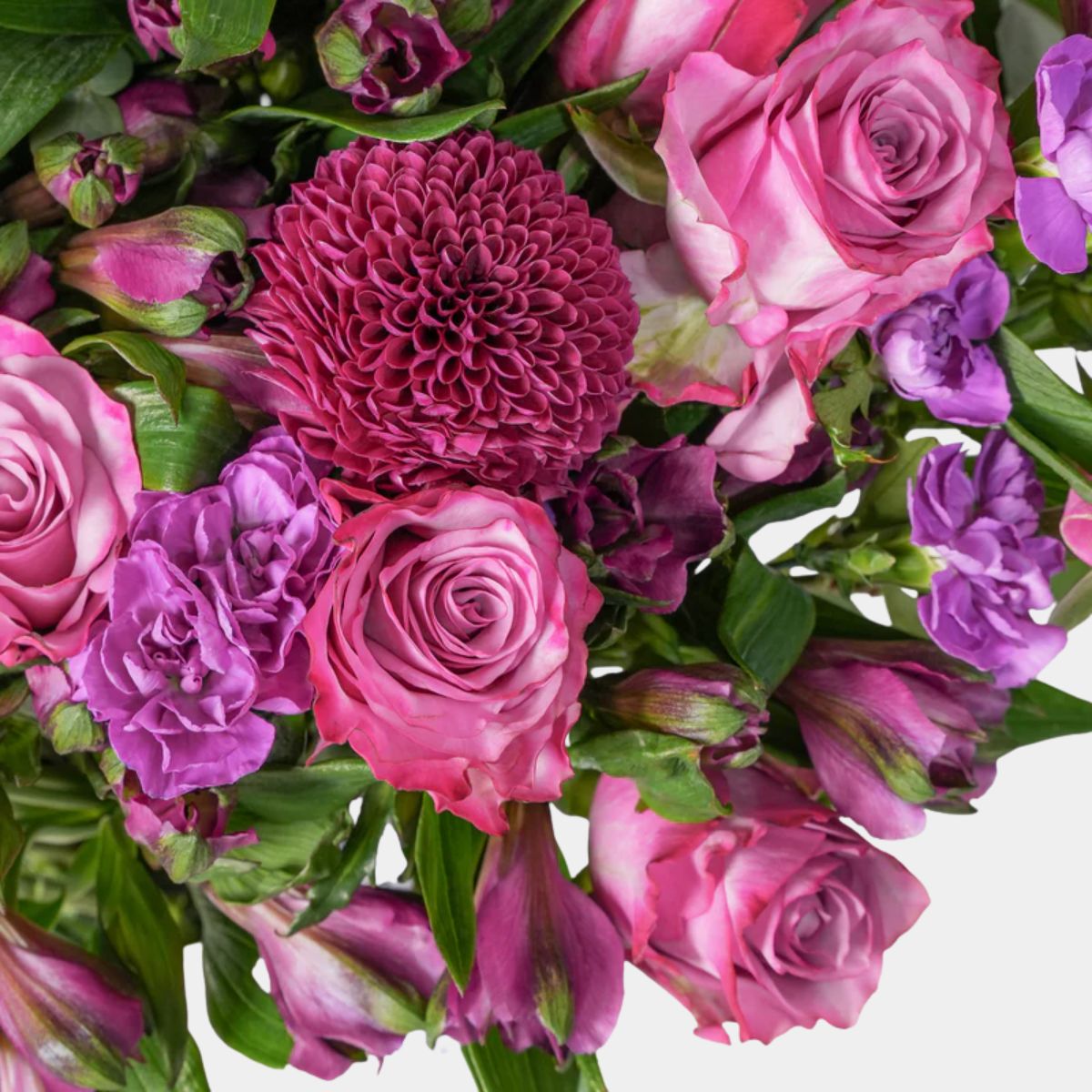 مزهرية فلورا أميثيست