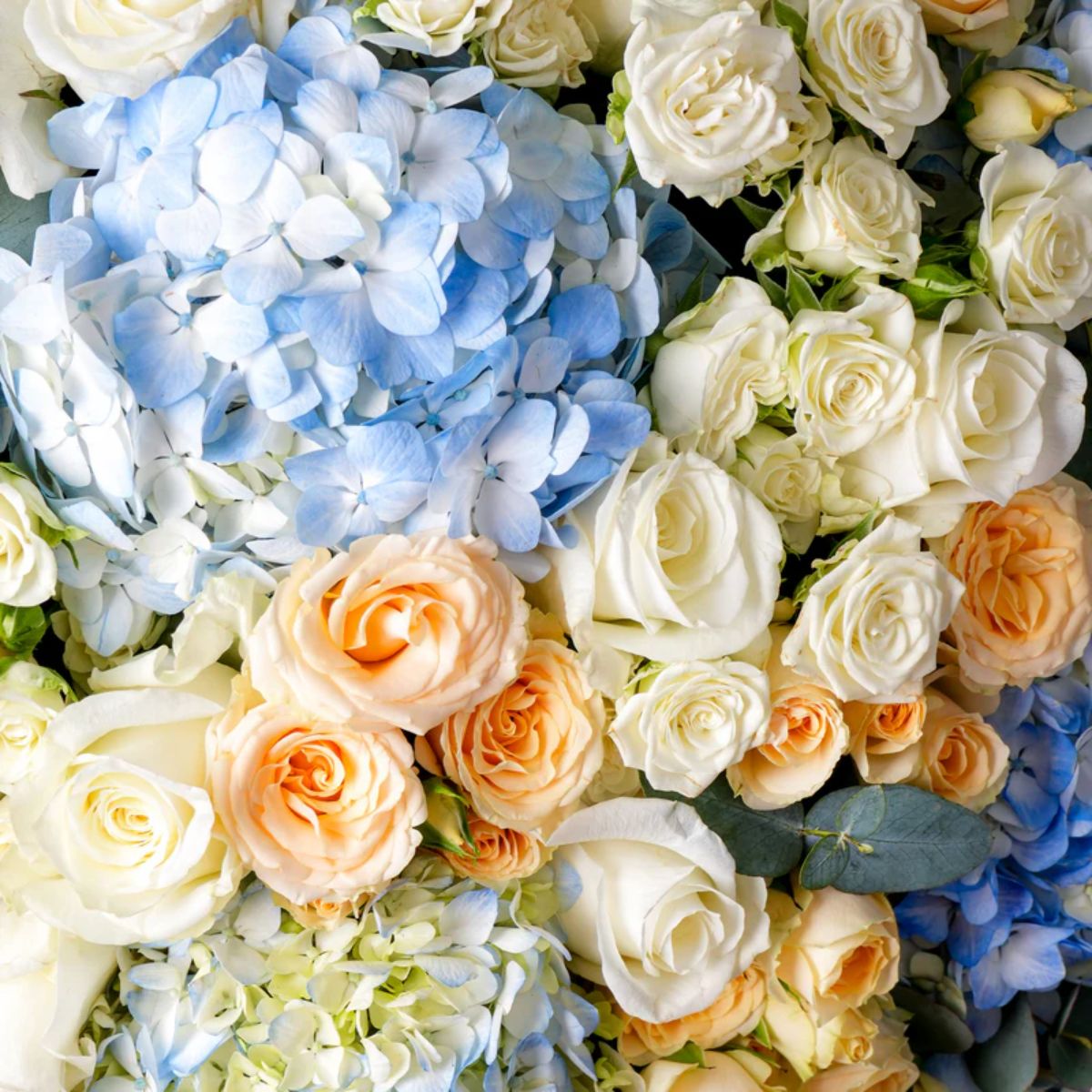 Luxury Pastel Flower Box