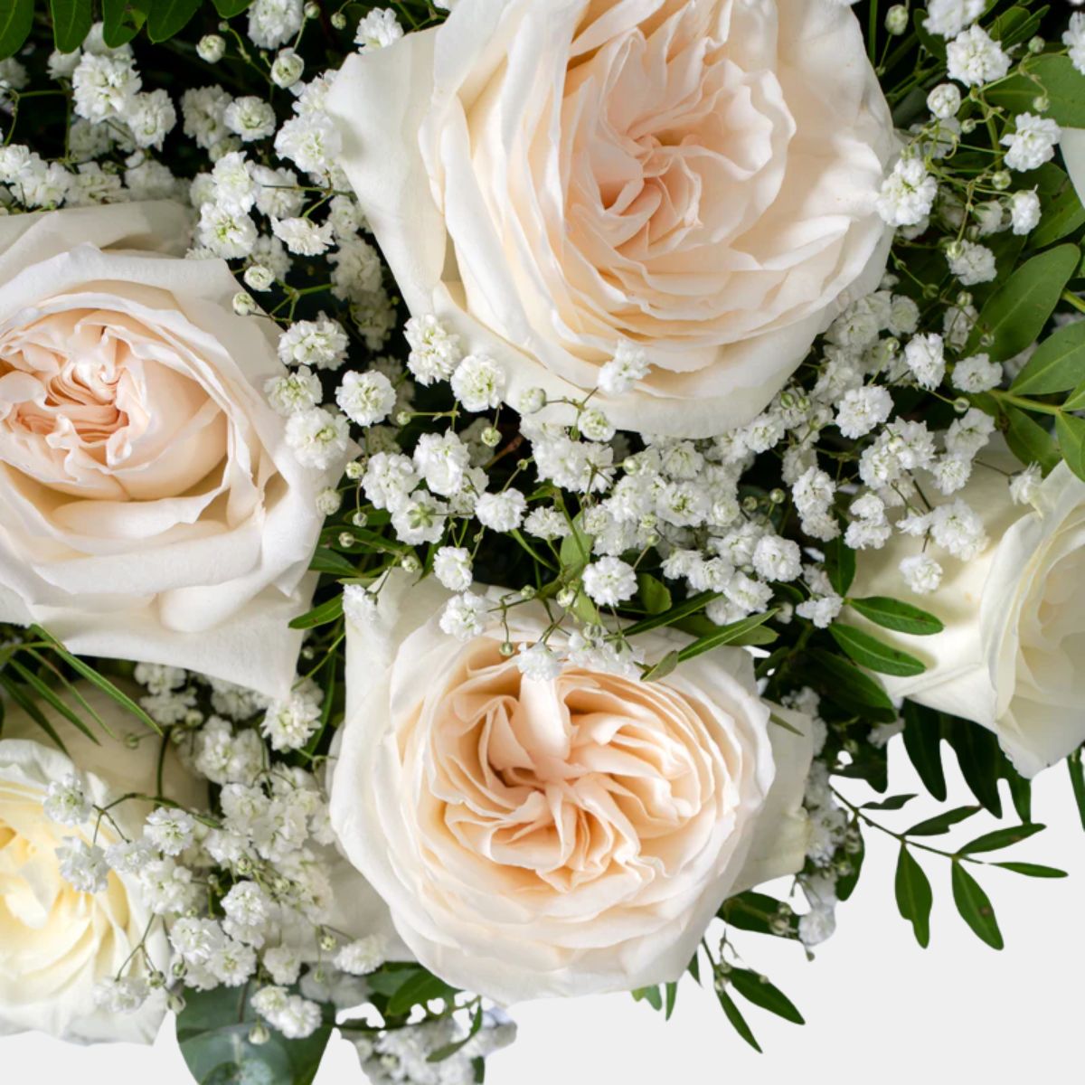 Perfect White Flower Box