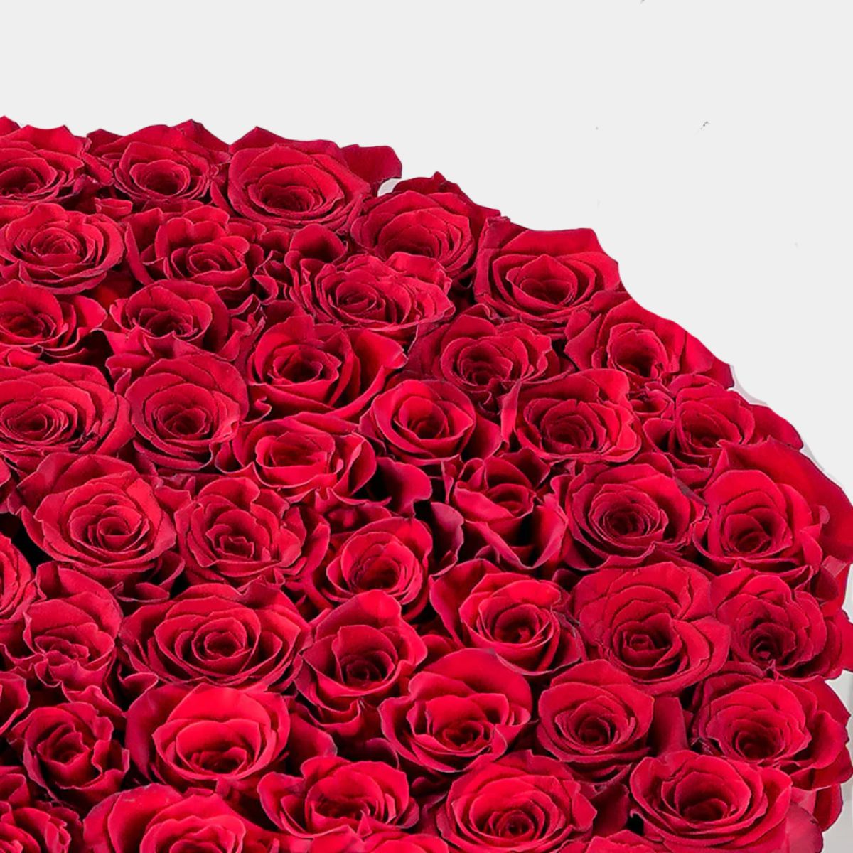 Red Roses Flower Box