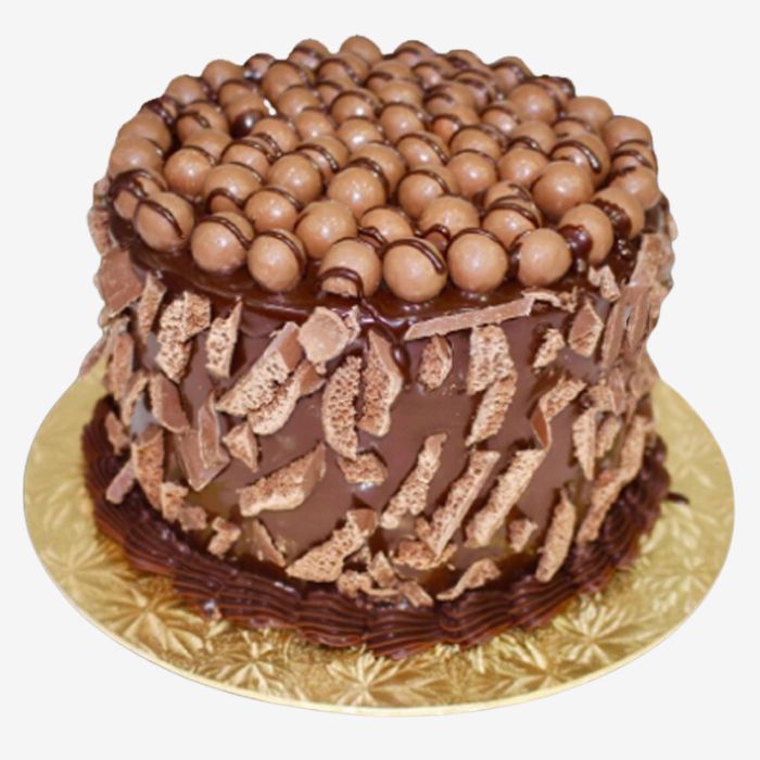 كعكة الشوكولاتة الغنية