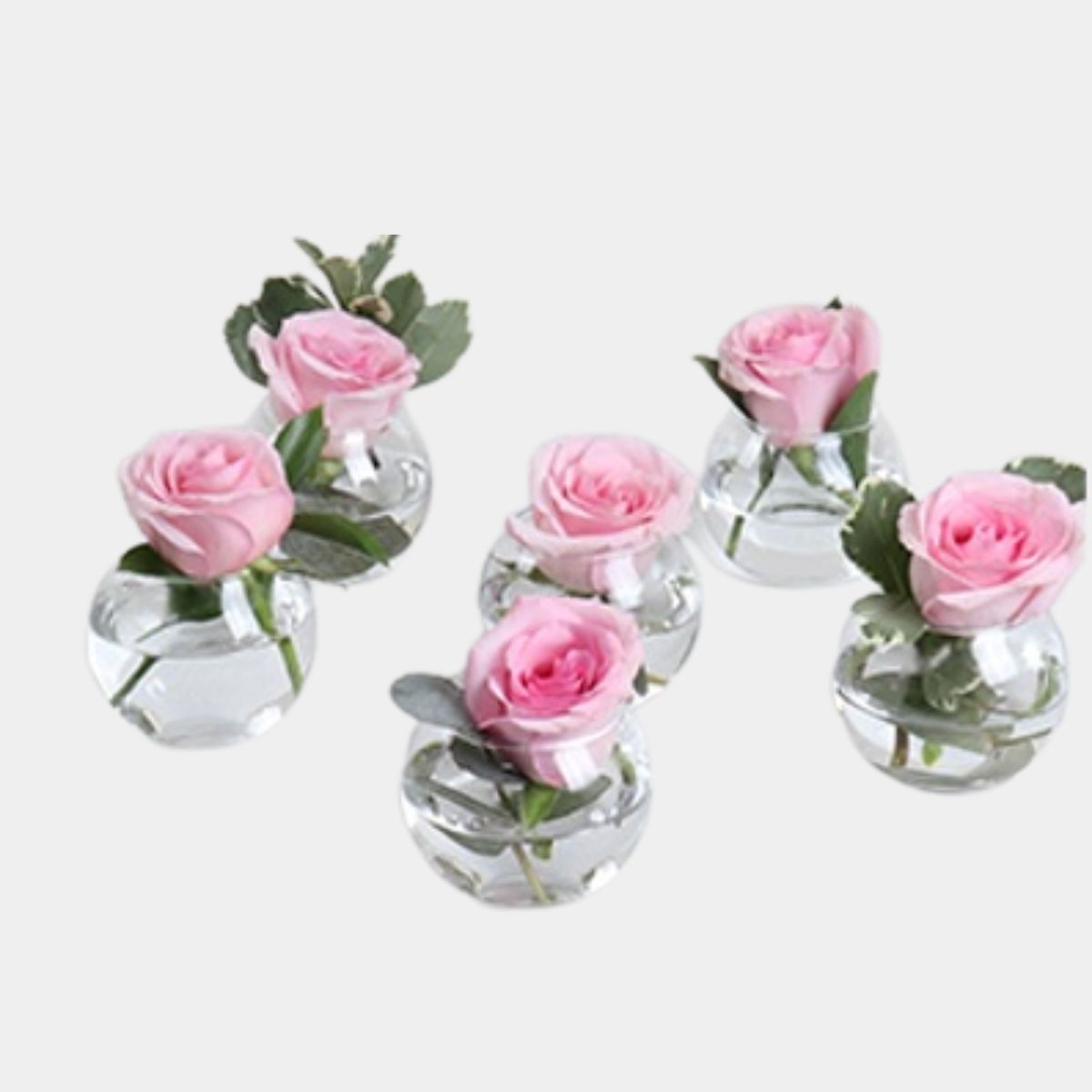 6 Single Pink Roses Bowl Vase