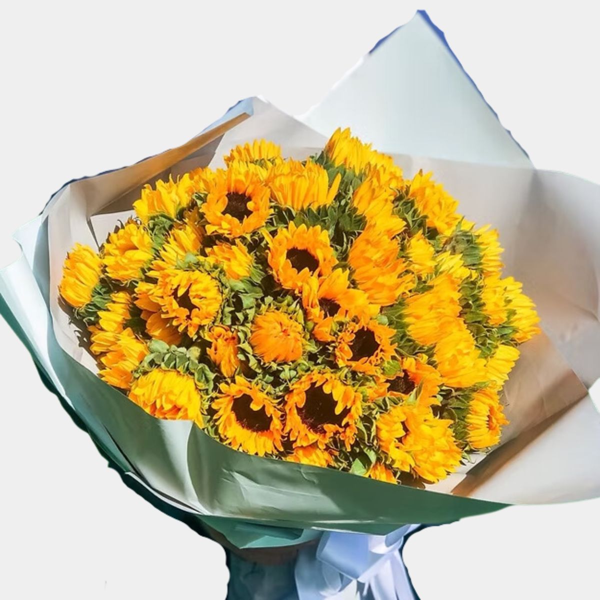 50 Fresh Cut Sunflowers Bouquet