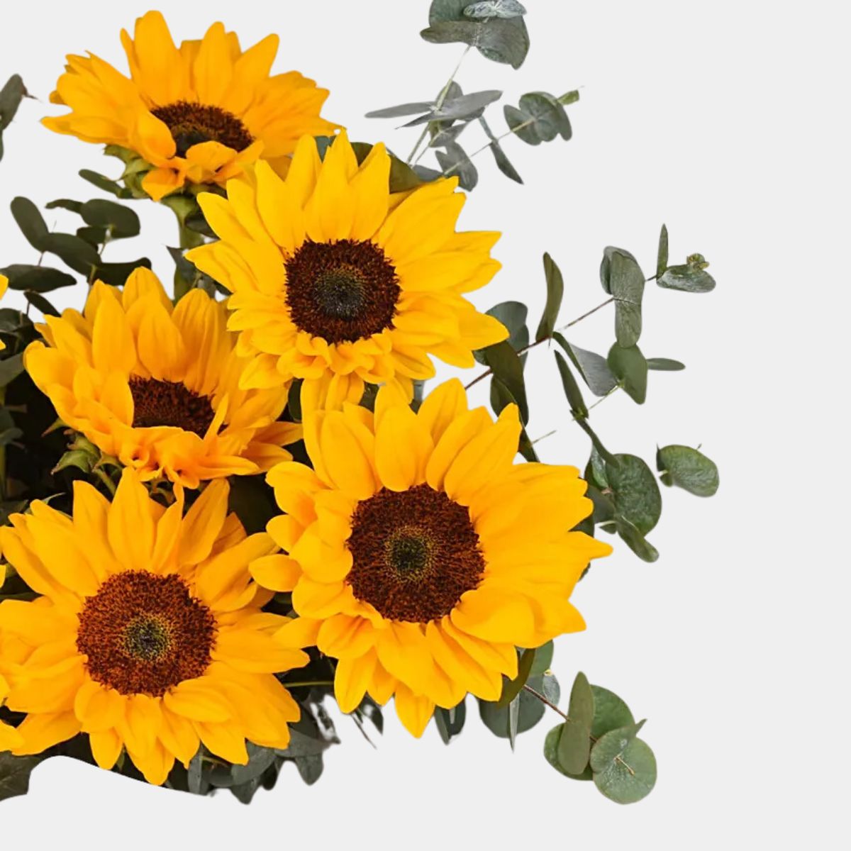 Sunflowers Pop Bouquet