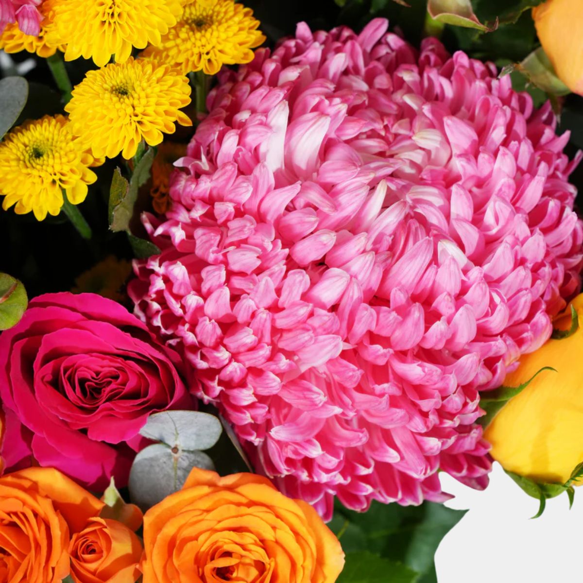 مزهرية زجاجية نابضة بالحياة على شكل زهرة عباد الشمس