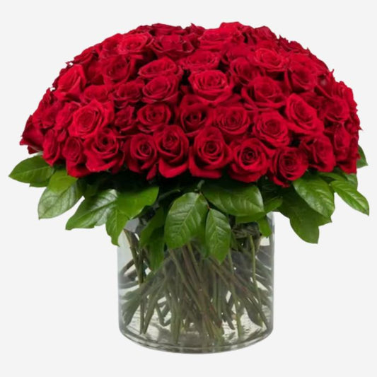 100 Stunning Red Roses