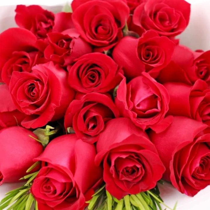 18 Rose Bouquet