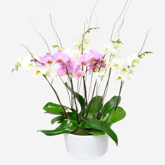 For You