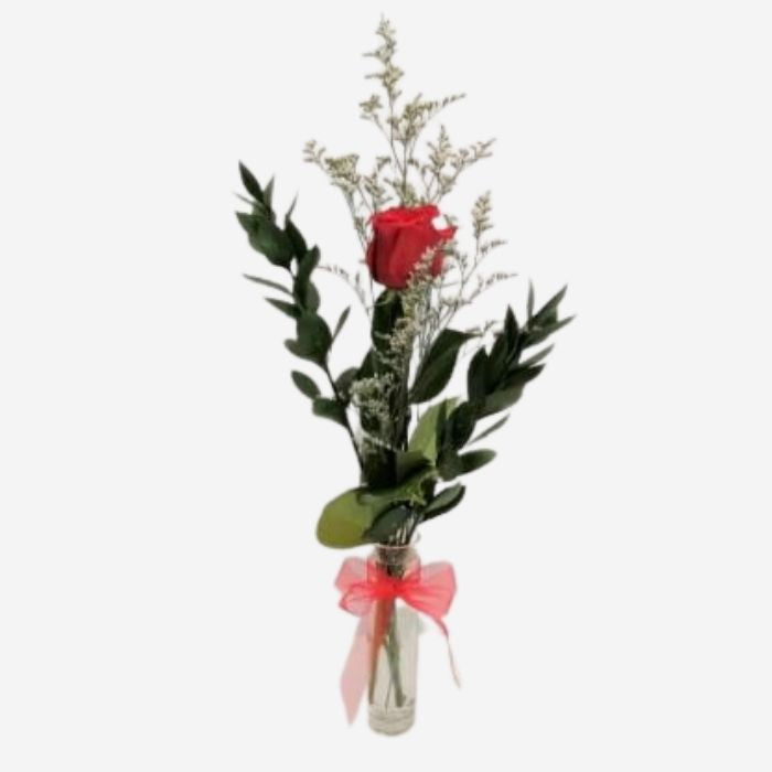 Single Red Rose in a Vase