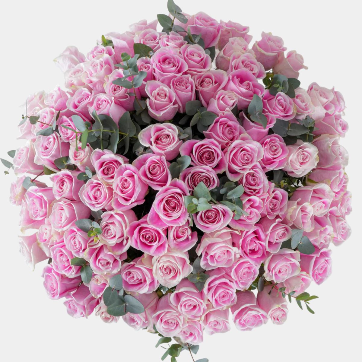 100 Luxury Pink Roses Vase