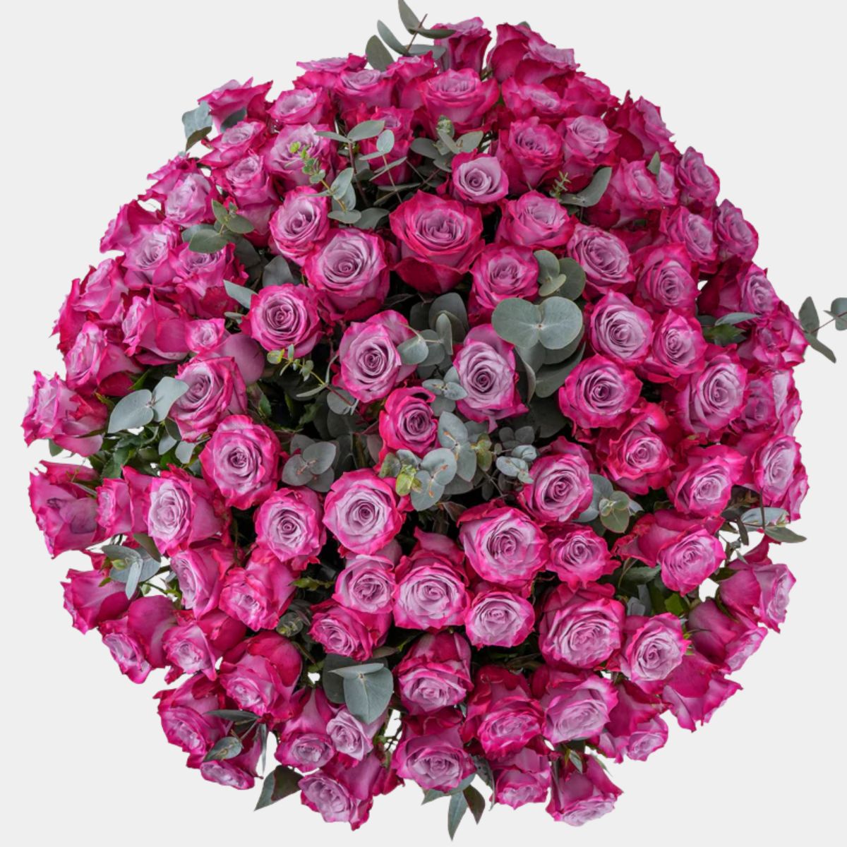 مزهرية فاخرة تضم 100 وردة أرجوانية