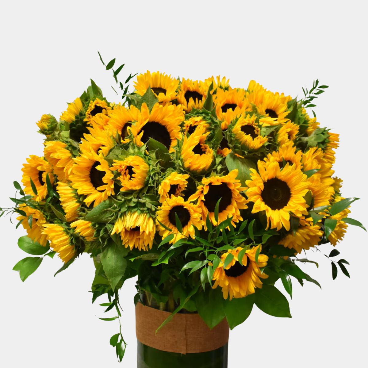 100 Sunflowers in Vase