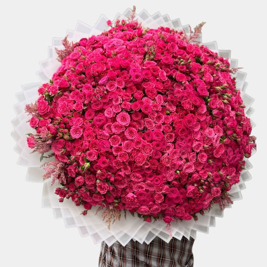 100 Dark Pink Baby Roses