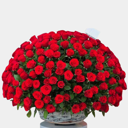 100 Luxury Red Roses Basket