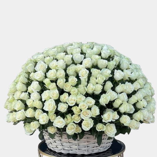 100 Luxury White Roses Basket