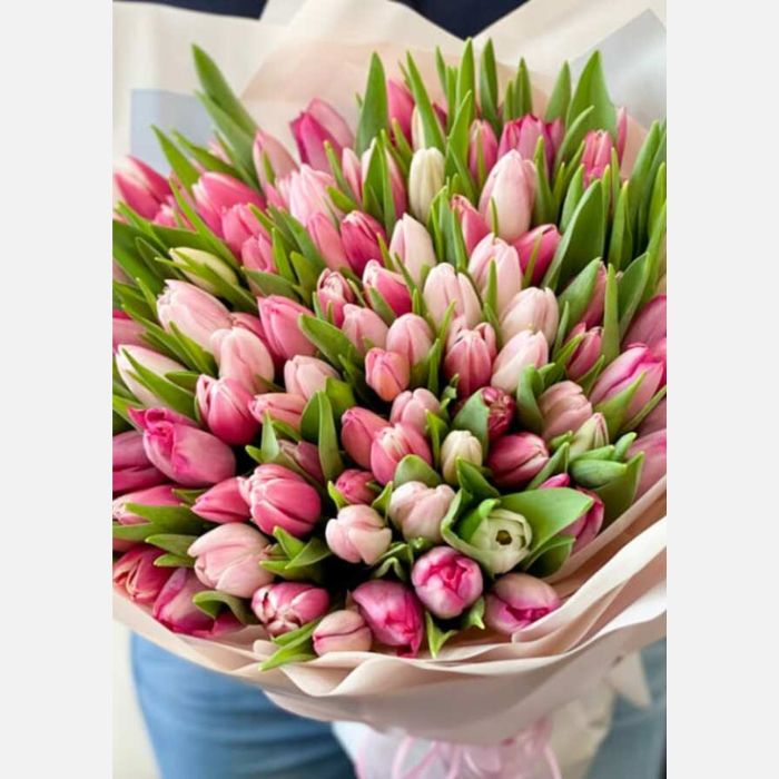 100 Luxury Tulips