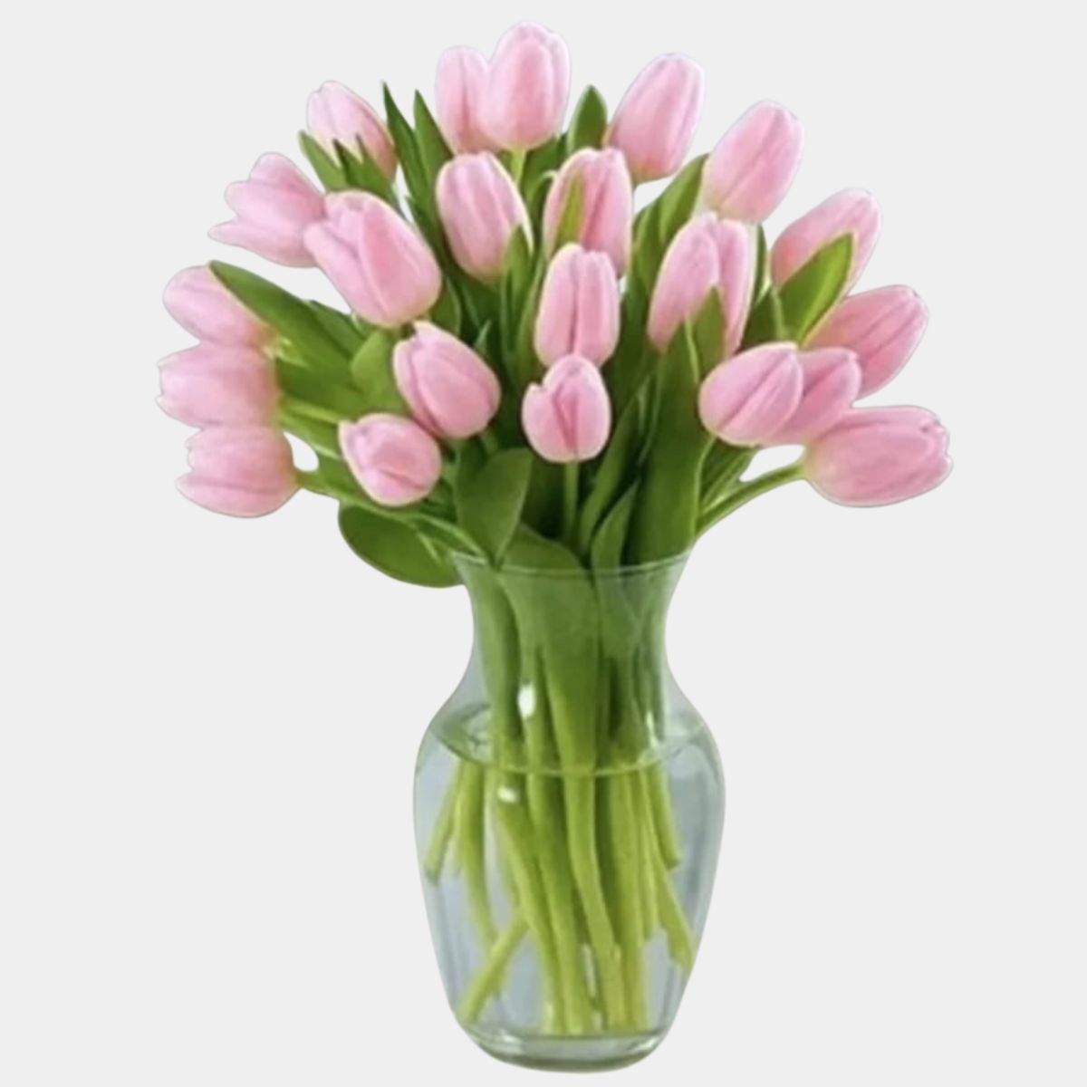 10 Pink Tulips in a Vase