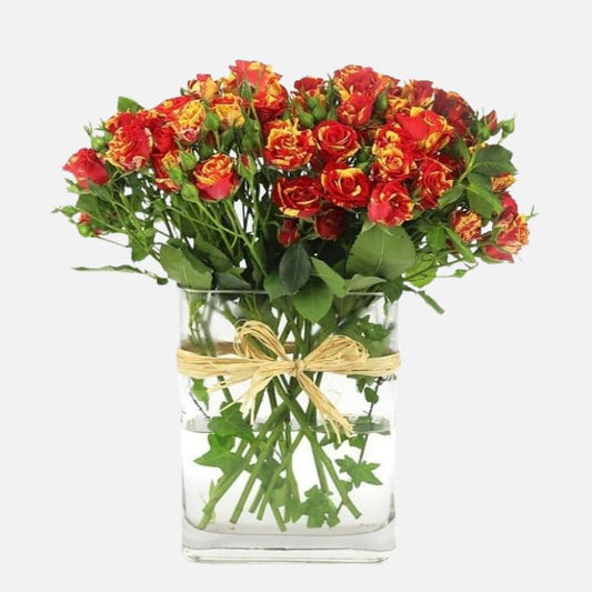 10 Stems Baby Roses Vase