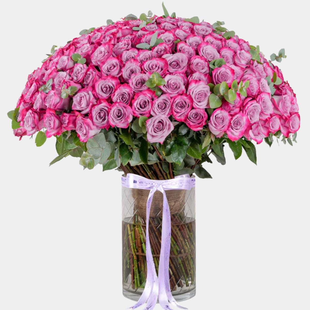 150 Luxury Purple Roses Vase