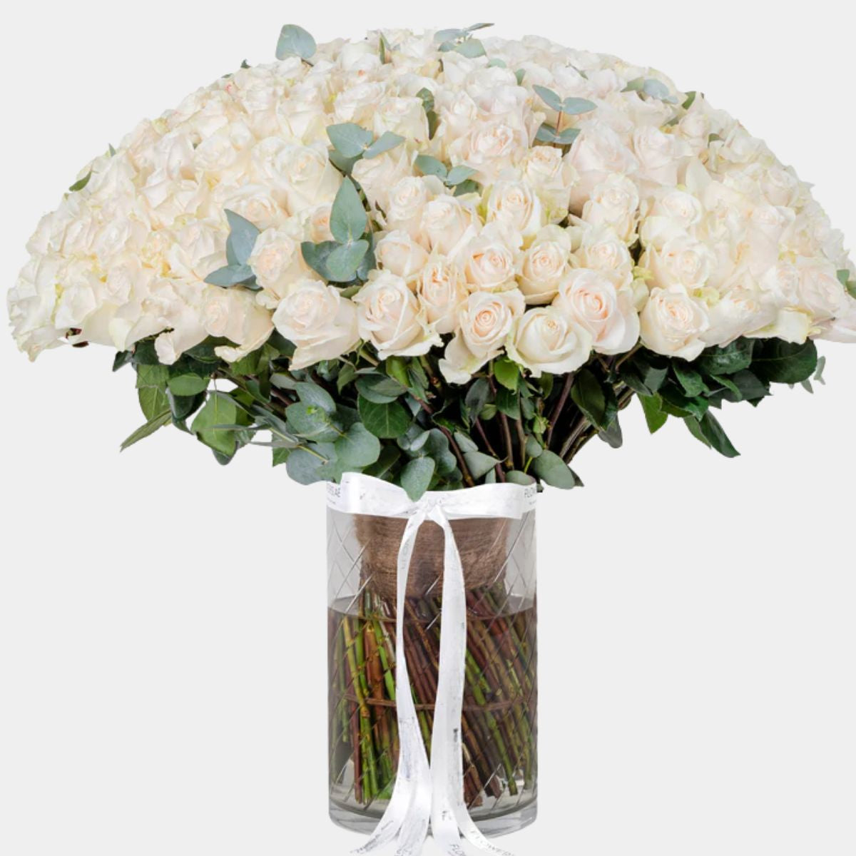 150 Luxury White Roses Vase