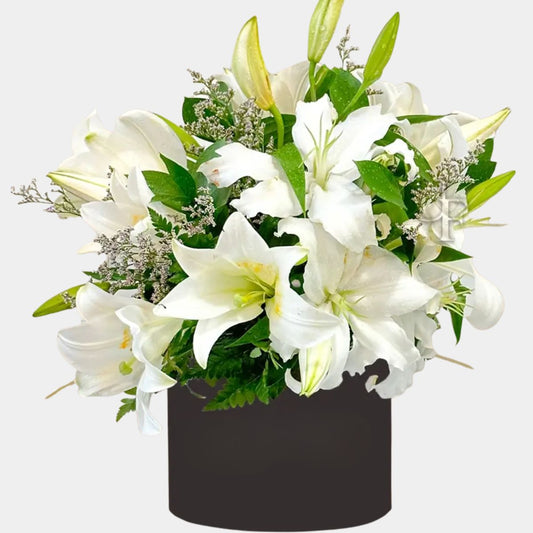 5 White Lilies in Box