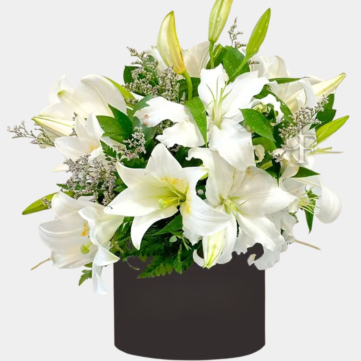 10 White Lilies in Box