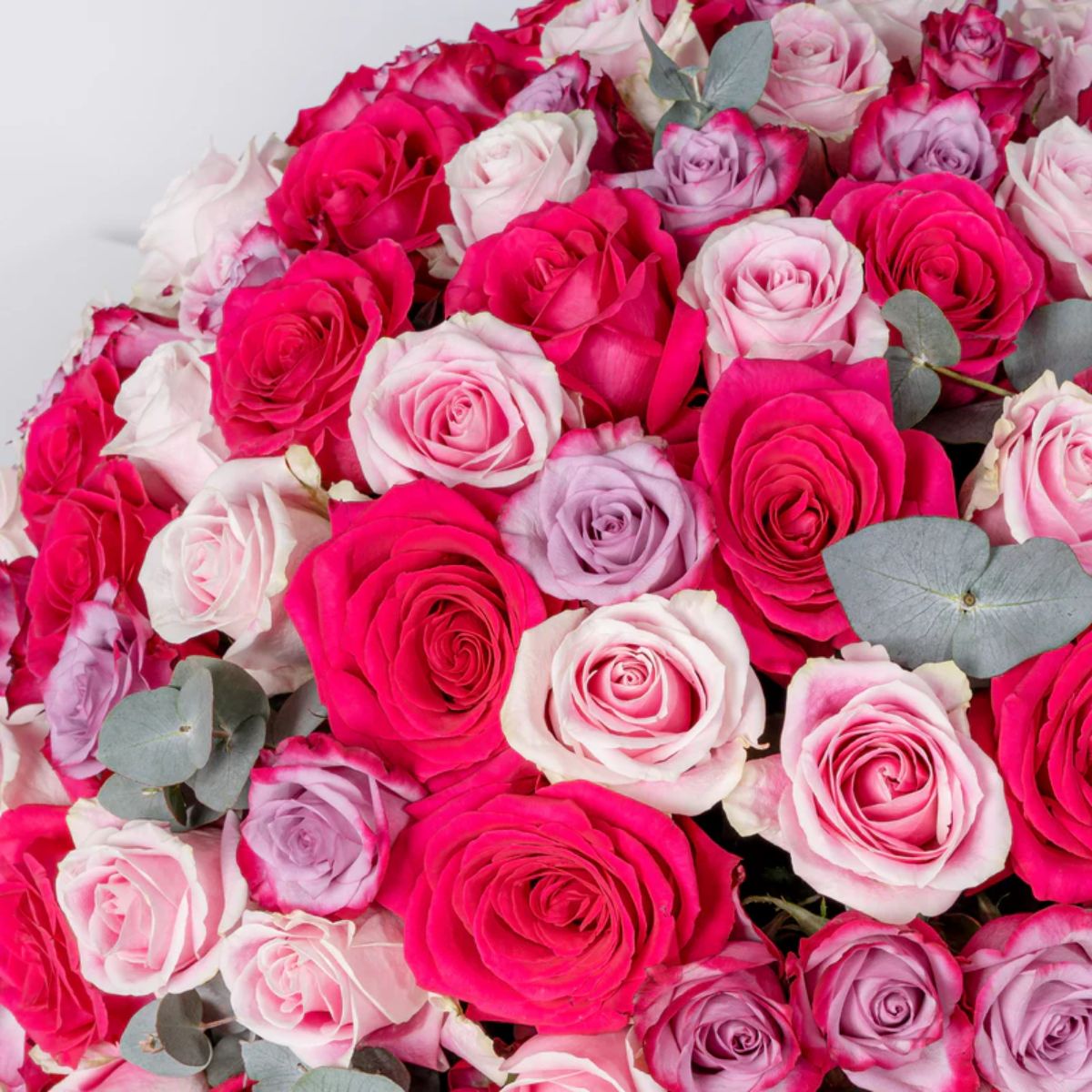 100 Luxury Blush Roses Vase