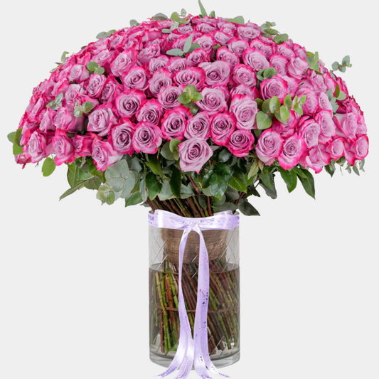 200 Luxury Purple Roses Vase