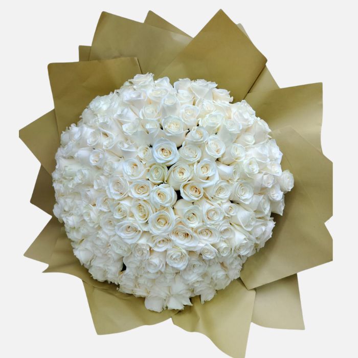 200 Luxury White Roses