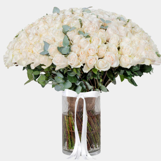200 Luxury White Roses Vase