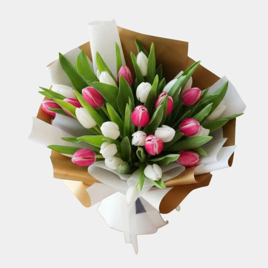 20 White & Pink Tulips Hand Bouquet