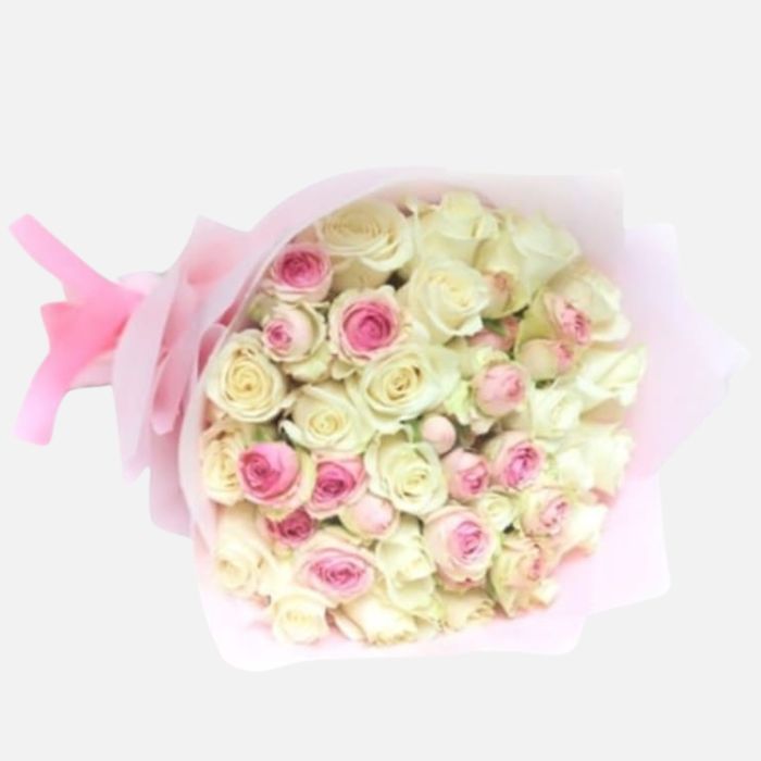 20 White and Pink Baby Roses