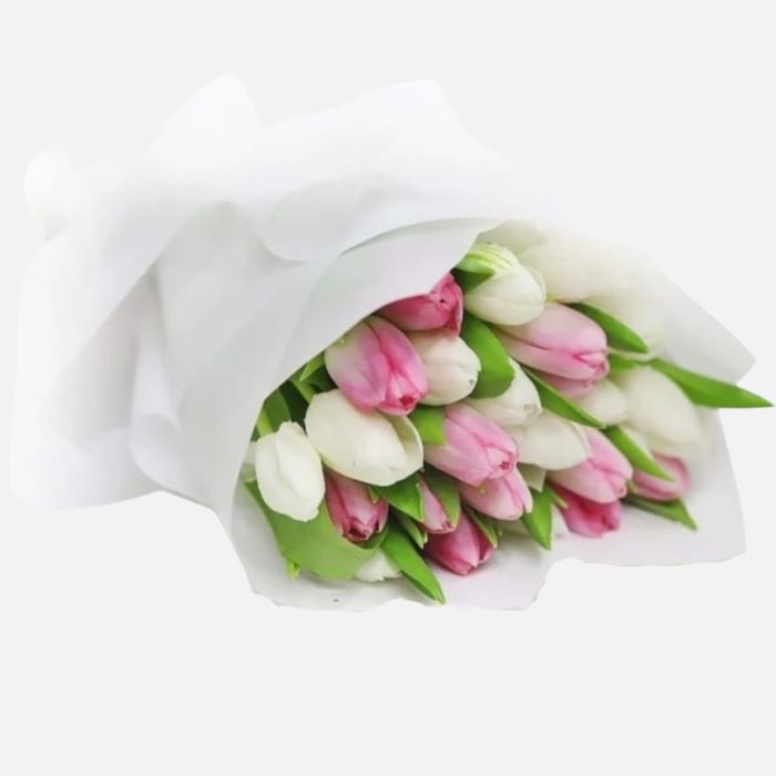 20 White and Pink Tulips Bouquet