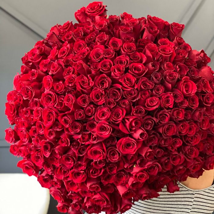 250 Luxury Red Roses | FloraKuwait.com