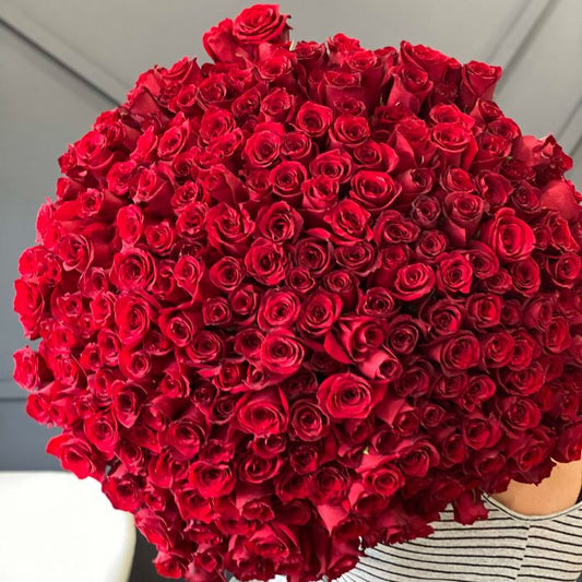 250 Luxury Red Roses