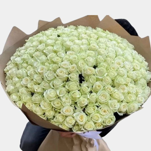 250 Luxury White Roses