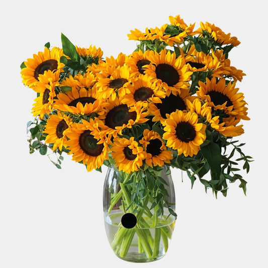25 Long Stem Sunflowers Vase