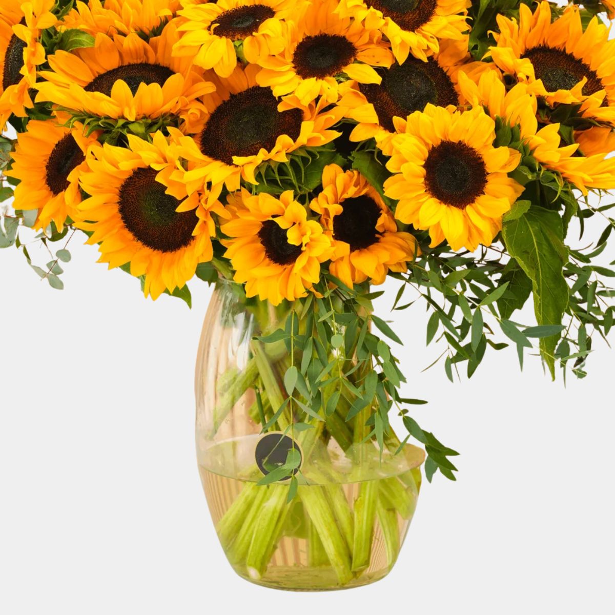 25 Long Stem Sunflowers Vase
